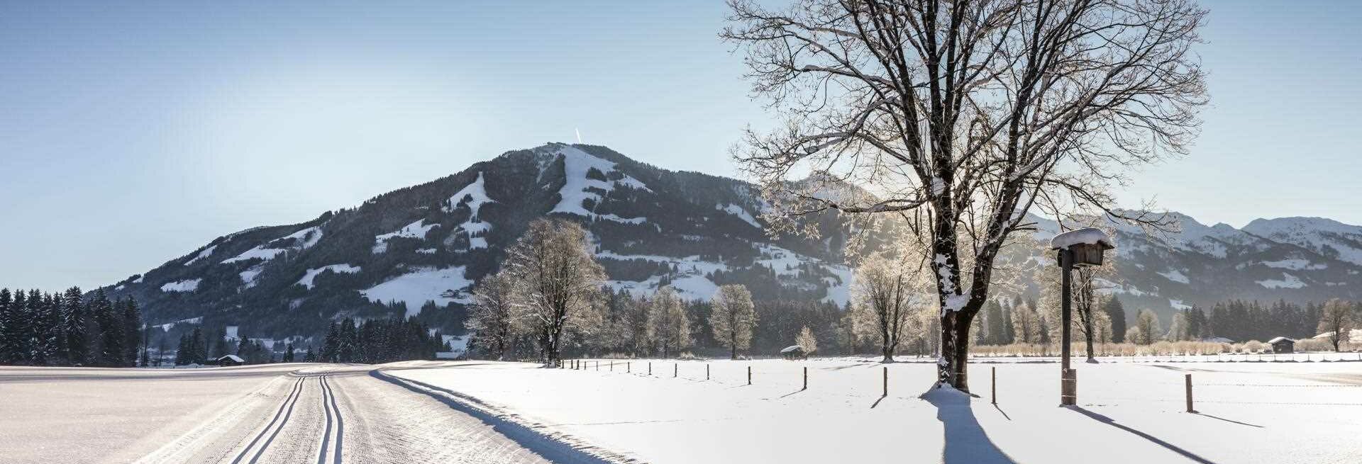 Wandern in Tirol Wanderferien